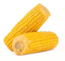 Zuckermais in Vakuum 2 Stück