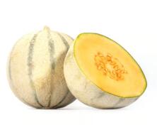 Honigmelone Cantaloupe