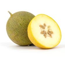 Honigmelone Galia