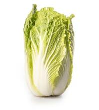 Chinakohl St&uuml;ck