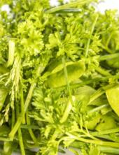 Gr&uuml;ne So&szlig;e (5 Kr&auml;uter) 100g