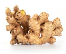 Ingwer getrocknet lose