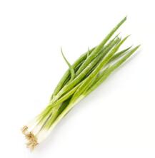 Fr&uuml;hlingszwiebeln Bund