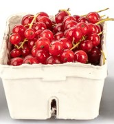 Johannisbeeren rot 250g