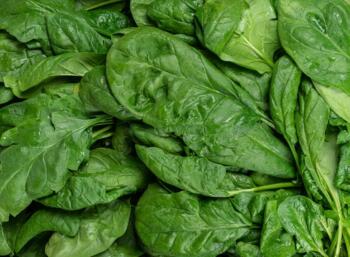 Blattspinat lose vom Hof