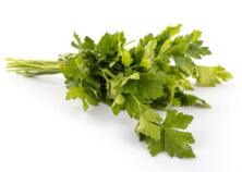 Petersilie glatt Bund