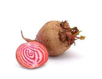 Ringelbete Tondo di Chioggia