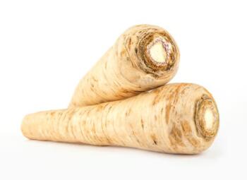 Wurzelpetersilie samenfest