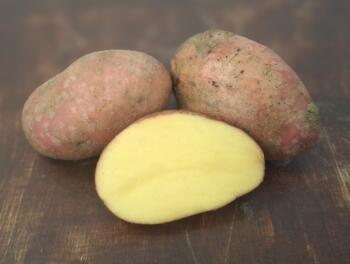 Kartoffeln Laura kg vom Hof Neue Ernte