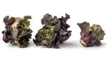 Flower Sprouts vom Hof