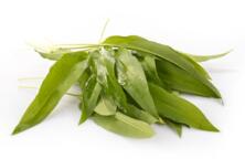 B&auml;rlauch im Bund 40g vom Hof