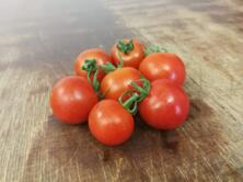 Cherrytomate Philovita rot vom Hof
