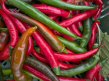 Chili Peperoni Mix vom Hof