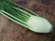 Fenchel mit Gr&uuml;n kleine Knolle vom Hof