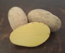 Kartoffeln 12,5 kg festkochend vom Hof
