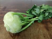 Kohlrabi vom Hof