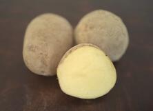 Kartoffeln 1kg mehlig vom Hof