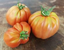 Fleischtomate Ochsenherz vom Hof