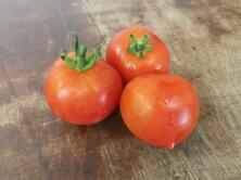 Salattomate rot lose vom Hof