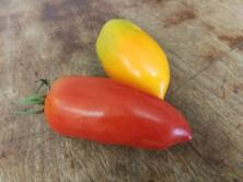 Tomaten San Marzano rot vom Hof