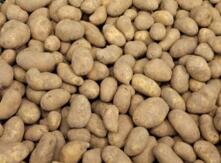 Schm&ouml;rkes 2kg vom Hof