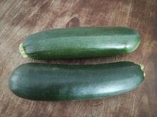 Zucchini vom Hof