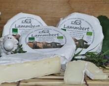 Lammbert, Schaf-Weichkäse ca. 300g