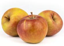 Apfel Boskop