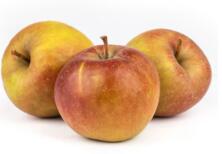 Apfel Boskop Bratapfel groß