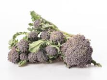 Sprossenbrokkoli 200g