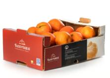 Clementinen Kiste 2,3kg Biosybaris