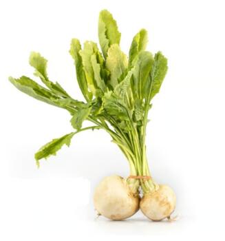 Mair&uuml;bchen Bd Blattgr&uuml;n essbar vom Hof