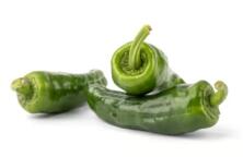 Bratpaprika Pimiento de Padron lose