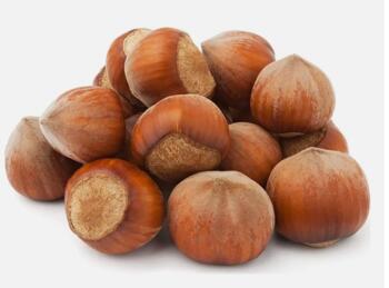 Haseln&uuml;sse in Schale