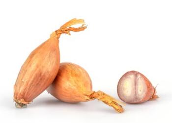 Schalotten im Netz (ca. 4 St&uuml;ck)