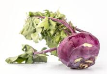 Kohlrabi violett St&uuml;ck
